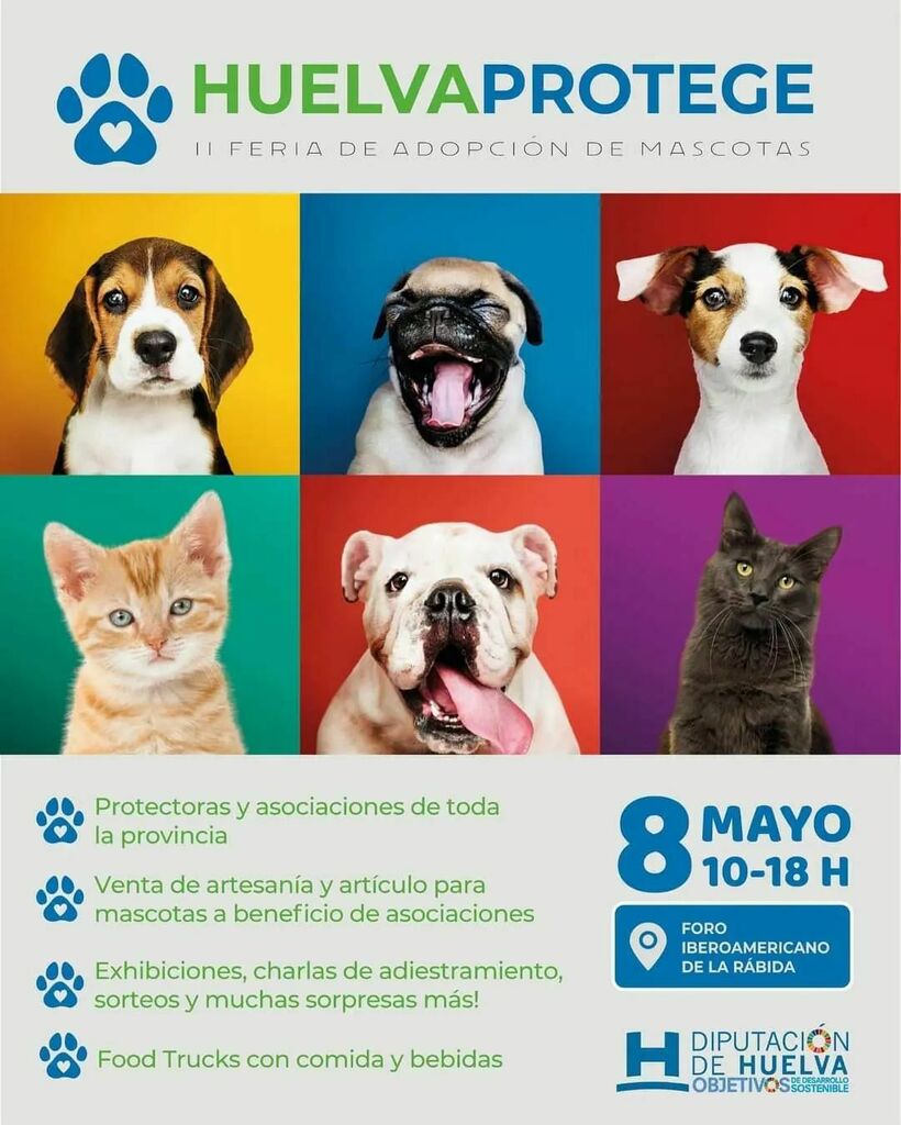 Edición de la Feria de Adopción de Mascotas organizada por la Diputación de Huelva @dipuhu 🐾

Lleva @huelvaprotege algunos de los perros rescatados que tengan en ese momento, tendran venta de polares de la Manada y el stand de cositas solidarias… 🐕

También podréis llevarles…