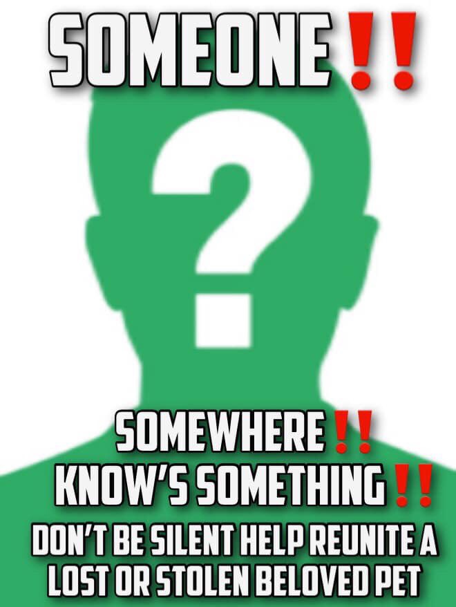 Find_Kemo tweet media