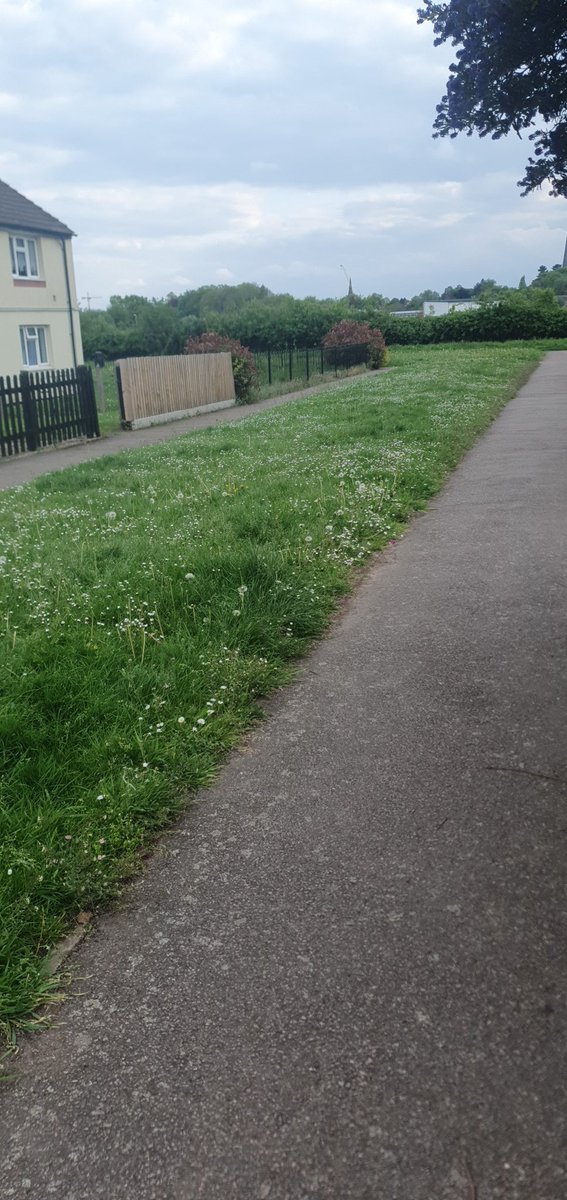 DanielFloyd27's tweet photo. @Lichfield_DC @Douglas_Pullen No grass has been cut on handle wall in lichfield, whom isn't his to be reported to? https://t.co/w4vLgnZ5iO