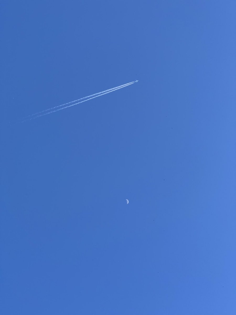 franckfu's tweet photo. Le vol @AirFranceFR #AF76 passant la lune dans un magnifique ciel bleu caennais ce soir pendant la promenade de #Nacho // The @airfrance flight #AF76 passing the Moon above @CaenOfficiel on a gorgeous evening blue sky #plane https://t.co/GzQZbcaYJt