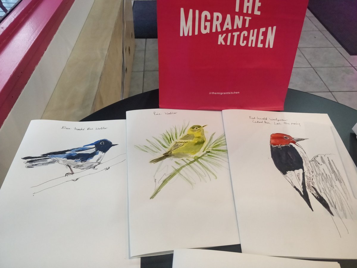 DrawCogs's tweet photo. @BirdCentralPark I made drawings from some of your wonderful photos. Thank you for magic images. https://t.co/Ui5H511kJF