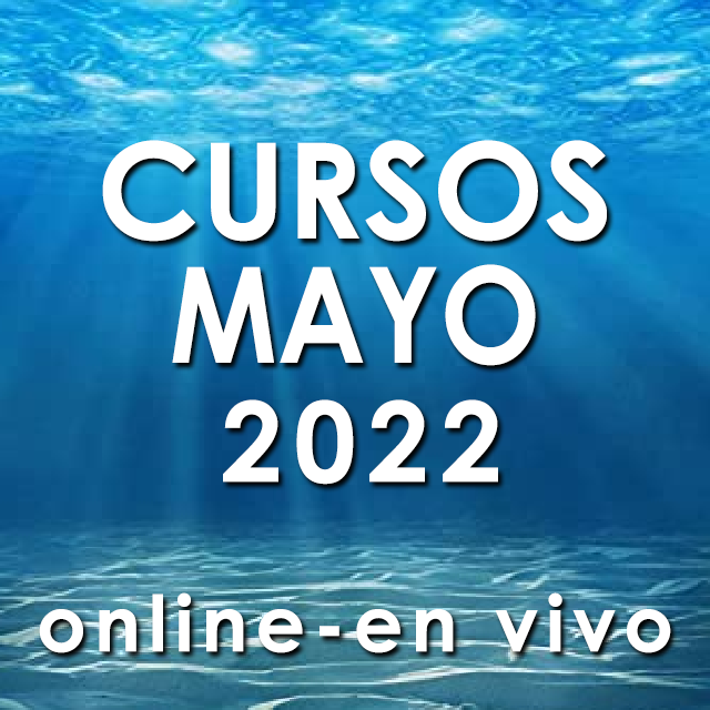 ceelechile's tweet photo. Nuevas fechas cursos grupales Online de #Aleman #Chino #Coreano #Frances #Ingles #Italiano #Japones #Portugues #Ruso para #mayo 2022
Las matriculas  abiertas en b https://t.co/XHx0GND0Ev
Inscripción de 28.000CLP / 38USD
Valor curso de 40 hrs 128.000 CLP / 178 USD https://t.co/UC7WX5V2Ak