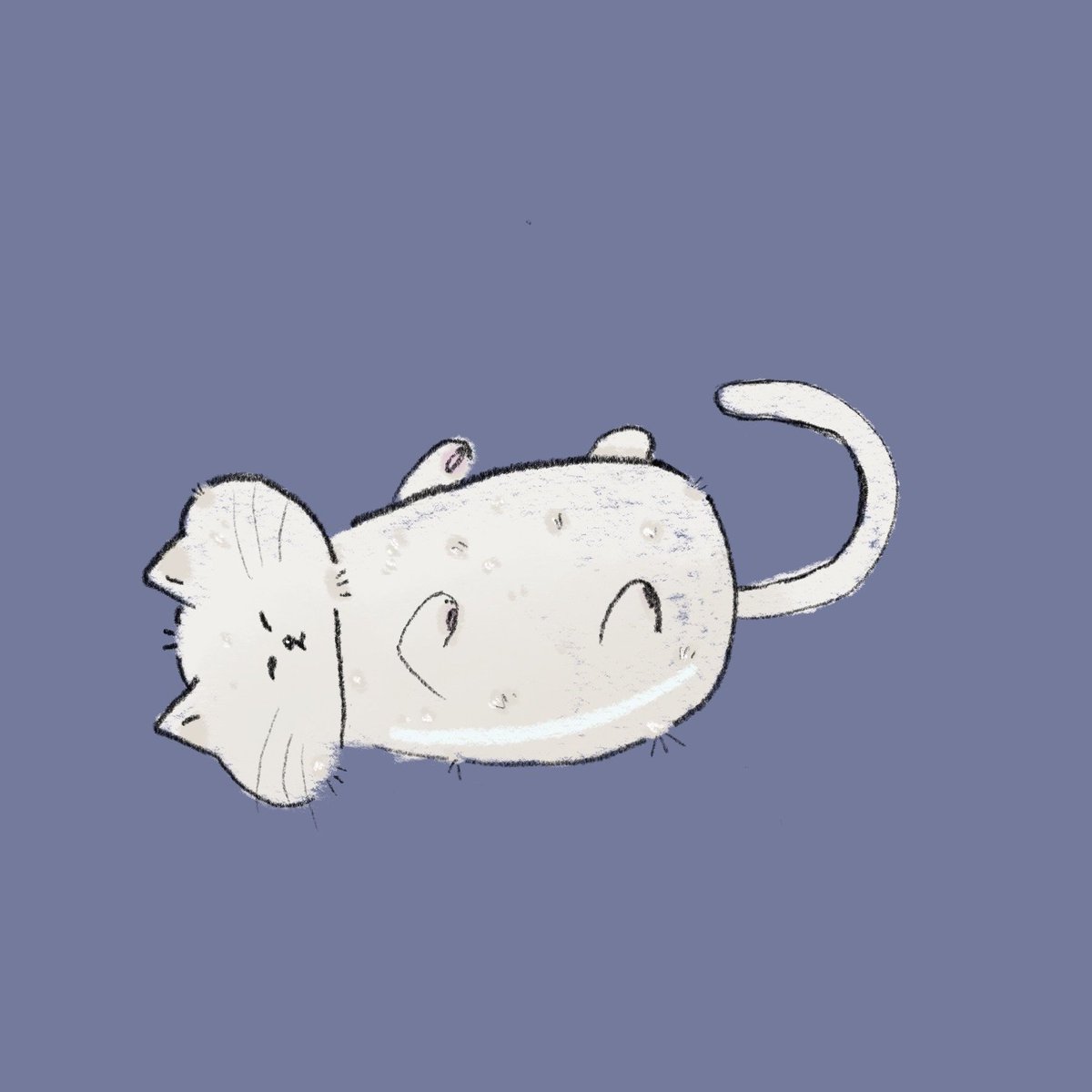 If u happy and u know it say meow