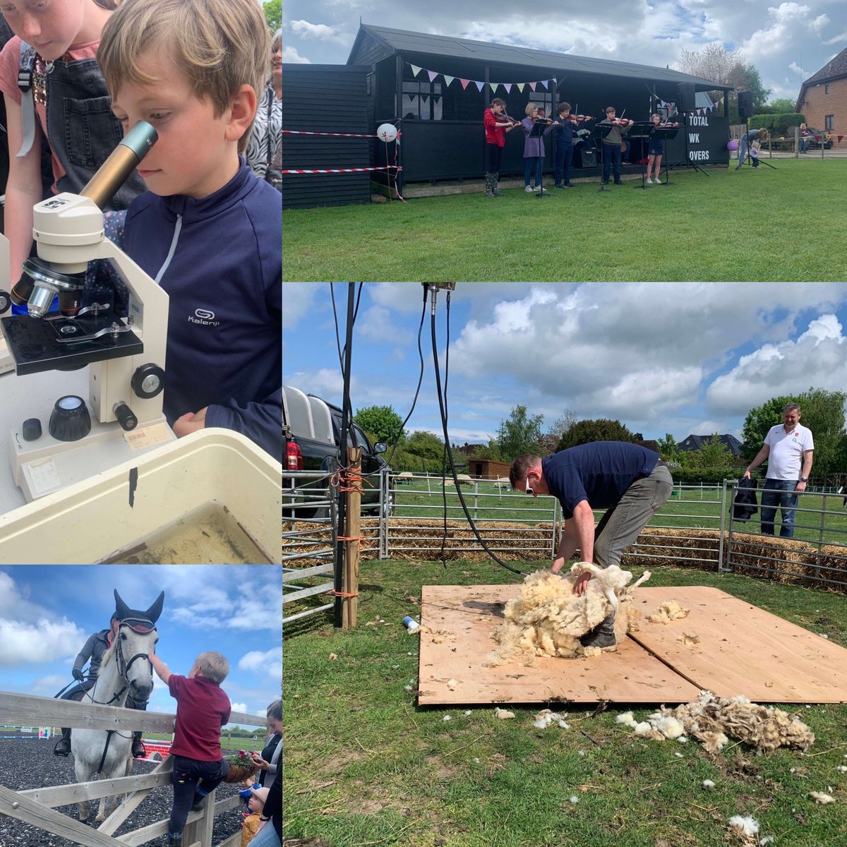 Glorious Farm open morning <a href="/kentcollegeuk/">Kent College Canterbury</a> thank you to everyone who made it all happen