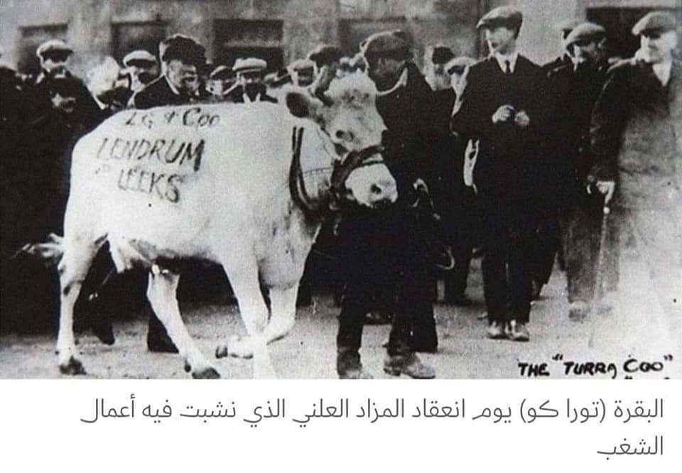 6️⃣ وعرضوها للبيع.
رفضت أسواق ومحلات (توريف) الفلاحية عملية البيع ولم يأت أي مشتري المزاد العلني من...