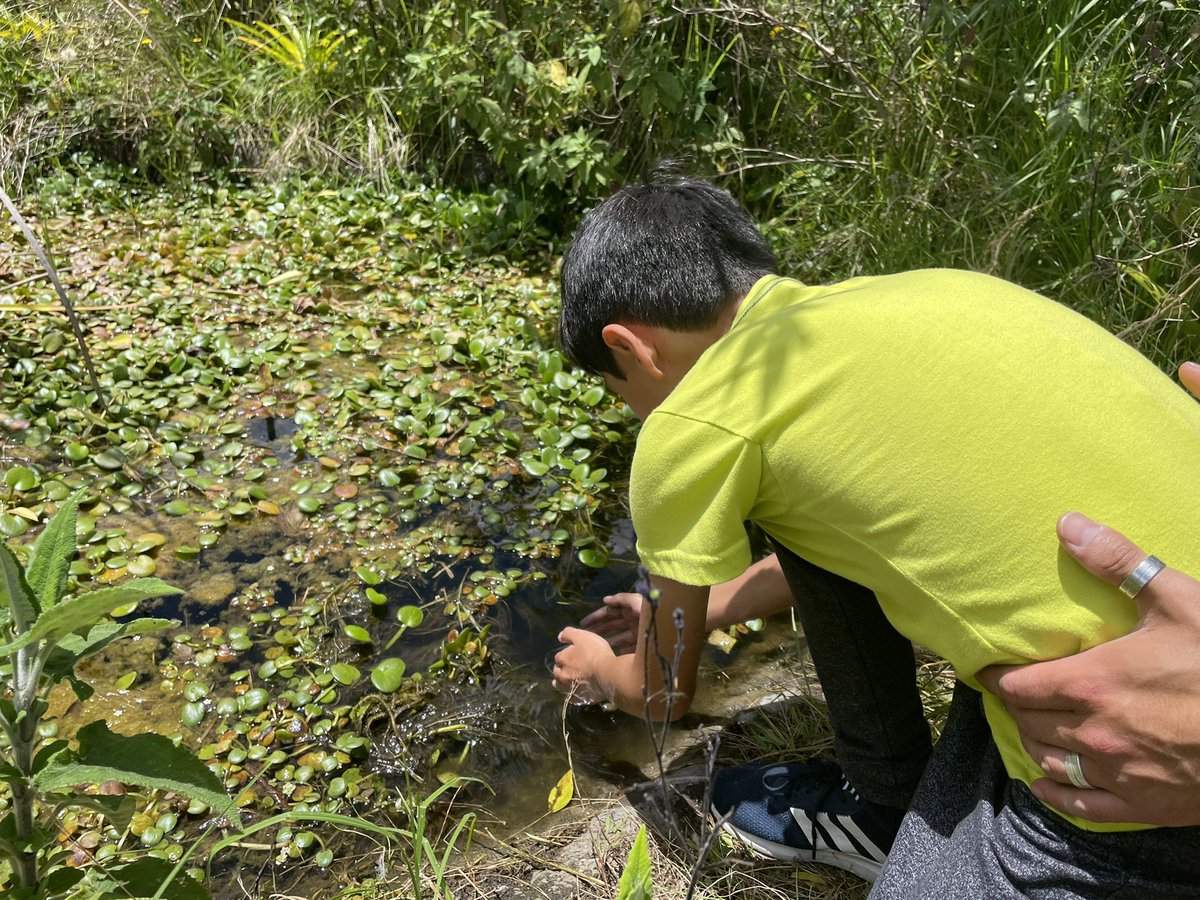 Zoo_Quito's tweet photo. El aporte ciudadano para la conservación ambiental ha sentado las bases para la ejecución de este proyecto en el Parque Bicentenario. 5 generaciones de la familia Neira Fabara sembraron 155 plantas nativas, que representan a cada miembro de la familia. #QueVuelvanLosUilliUillis https://t.co/JGi6CN9fWb
