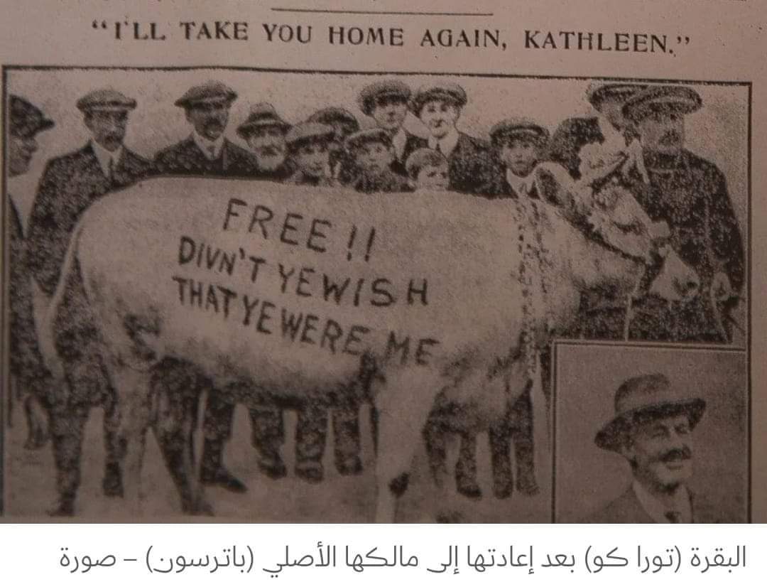 1️⃣1️⃣ من أجل عرضها للبيع مجددا في مزاد علني أكثر تنظيما. تم بيع البقرة هذه المرة بنجاح لكن المجتمع...