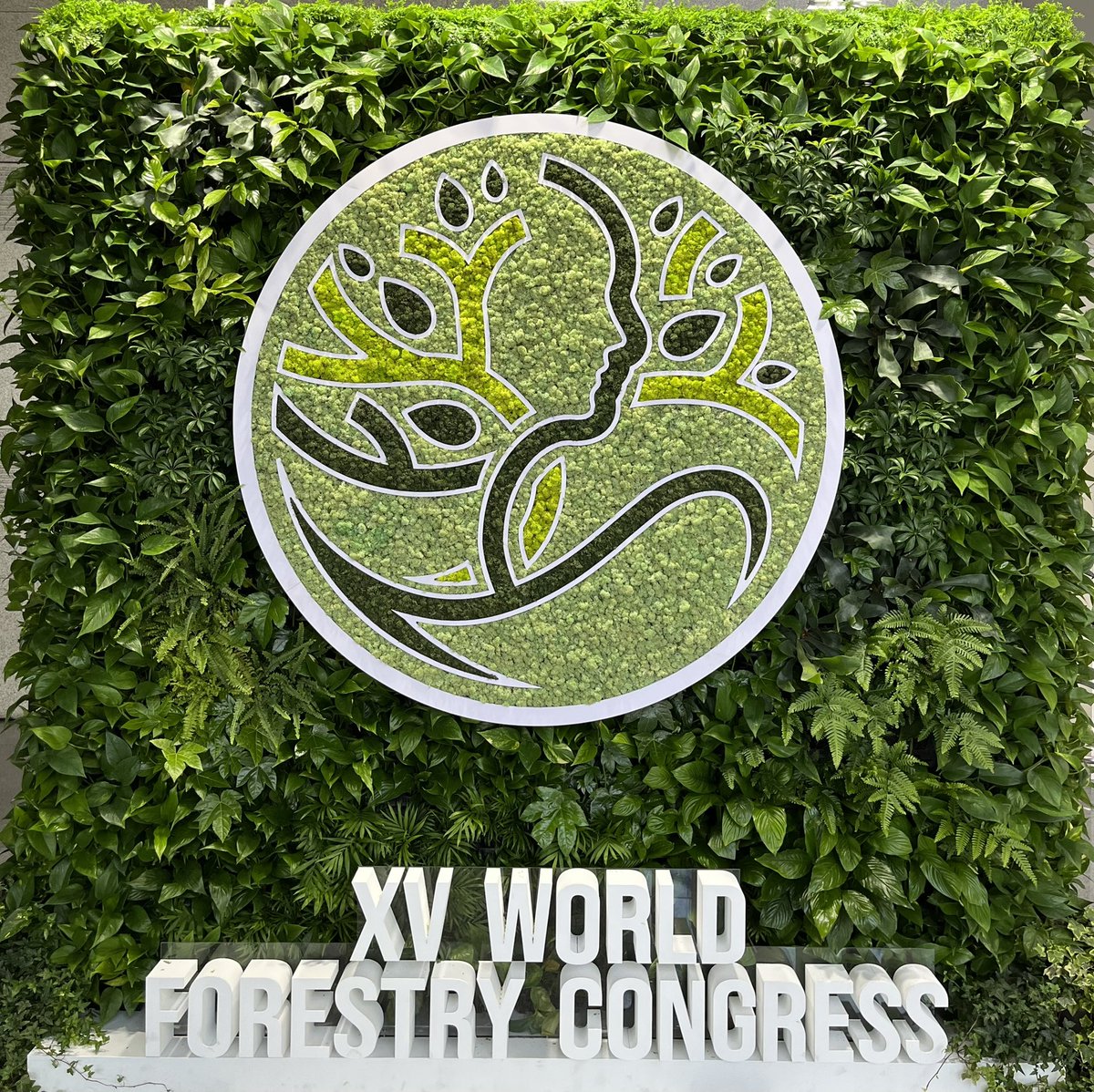 SundarBhardwaj's tweet photo. The XV World Forestry Congress drew to a close yesterday in Seoul. It was an amazing week discussing latest thinking from Public &amp; Private sector to fight #climatechange. Question is - will we have done enough to get on the right trajectory b4 the next WFC in 5-6 yrs? #WFCKorea https://t.co/5MR6vK07gl
