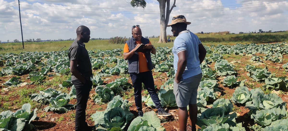 1/2 It is good to learn from the best. My Brother Balatedi Makosha came all the way from Botswana to learn on how to become a successful horticultural farmer. We toured various farms in Harare today with our African brother to have an insight and experience of horticulture.