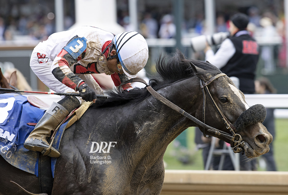 Daily Racing Form on Twitter: 