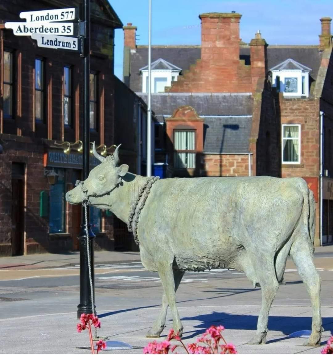 14-
في سنة 1971 شُيد صرح تذكاري على جانب الطريق في (ليندروم) تضمن لوحة إحتوت على رسمة لرأس بقرة وفي...