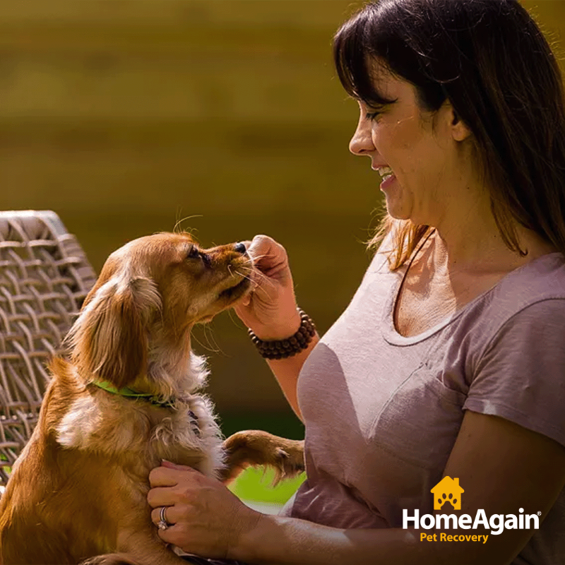 HAPetRescuer's tweet photo. This month is about celebrating mothers of all kinds. Happy National Dog Mom’s Day to all the pet parents out there!🤍🐶 https://t.co/qs4eMJsqOz