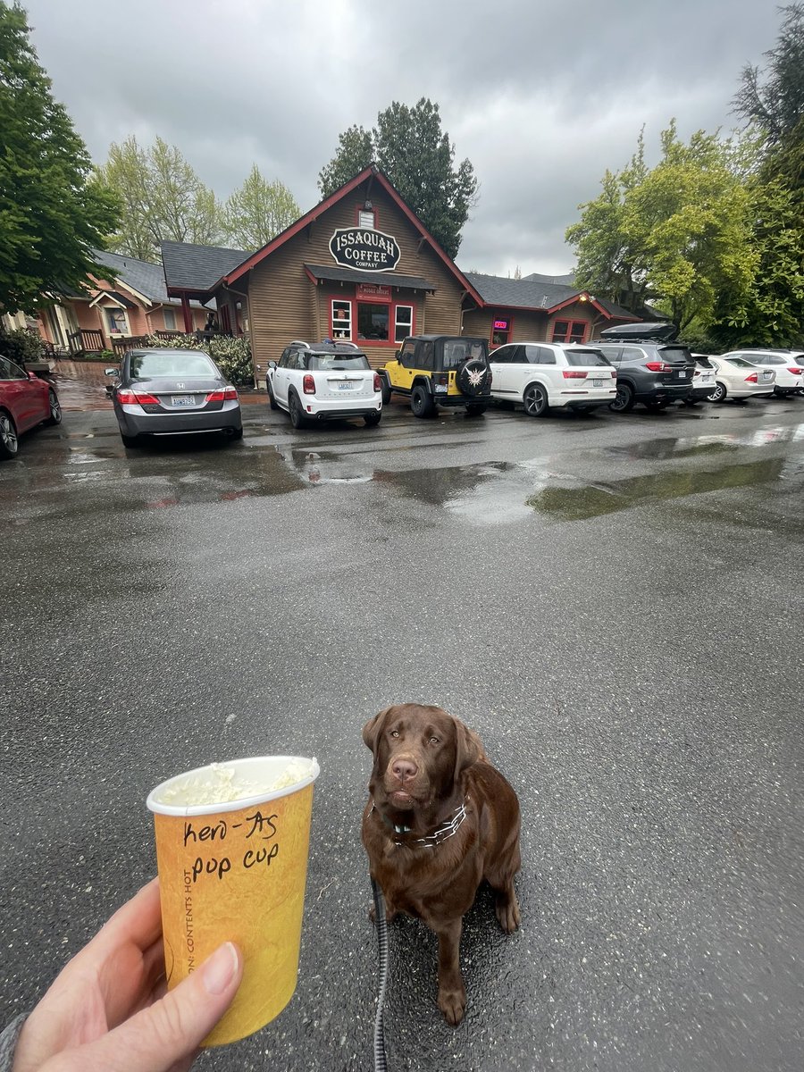<a href="/KSeattleWeather/">Seattle Weather Blog</a> <a href="/IssaquahCoffee/">Issaquah Coffee Co.</a> is the best says Forest🌲Bean☕️Pilchuck🏔 #PupCup🤎