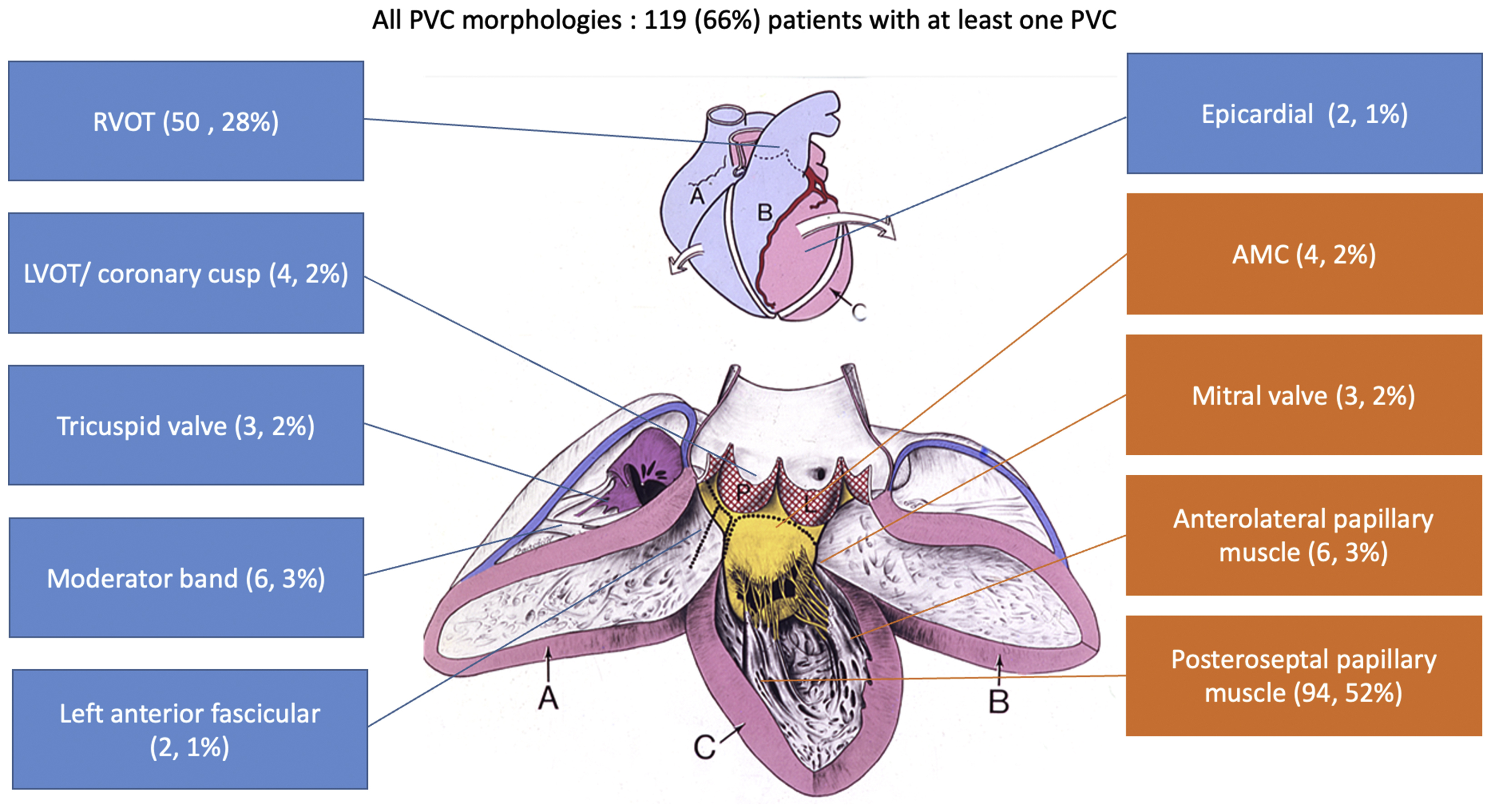 Experts Reveal The Best Kept Secrets About Pvc Icd 10 - noymwlq