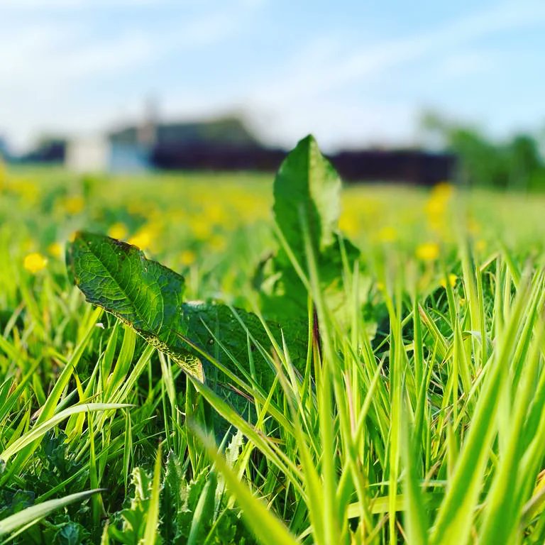 Where a Gainako's Heart Dwells

<a href="/SambaBah/">Samba Bah</a> <a href="/msbahdynamic/">MS Bah Dynamic</a> <a href="/Dallajallow/">Abdoulie Jallow</a> <a href="/Rahma_Stacle/">Umm Hanaan🤍</a> <a href="/MannehNanchoe/">MannehJabou</a> <a href="/kaykendo2020/">Abdoulie Singhateh</a>