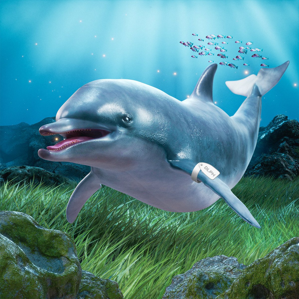 Dolphin #408 was just bought 🙌 Congrats to the new owner!

For JUST 0.28 SOL ($22.79) 💰

The Sea Floor is Rising!
solscan.io/token/vi2t2Jzo…