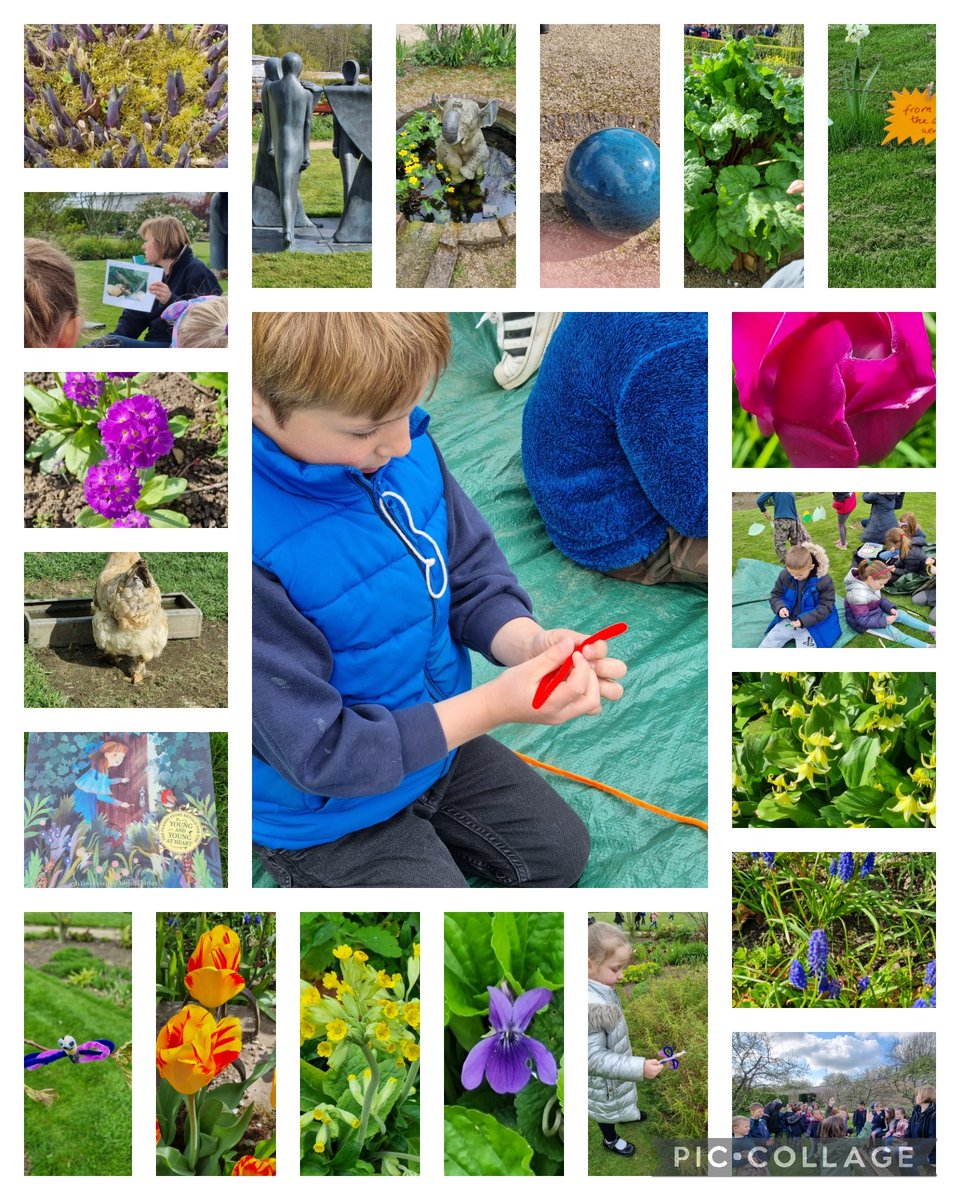 KMSMissSheppard's tweet photo. We are having a really exciting start to this term. First, a trip to Helmsley walled garden for an immersive literacy day #learningthroughexperience #countrysidelearning https://t.co/37WjLFtVtH