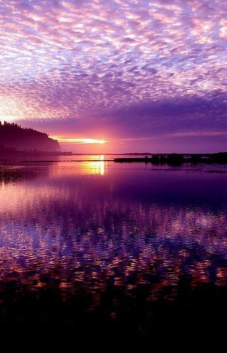Have a good evening !
#evening #sunsets