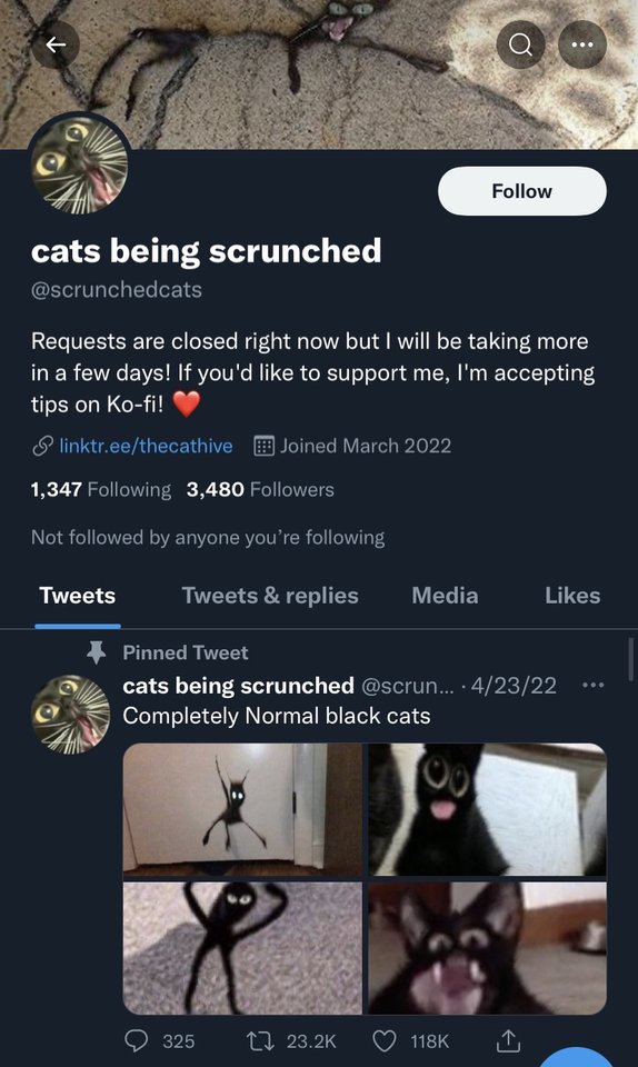 Extra Specific Accounts (NO LONGER ACTIVE) tweet media