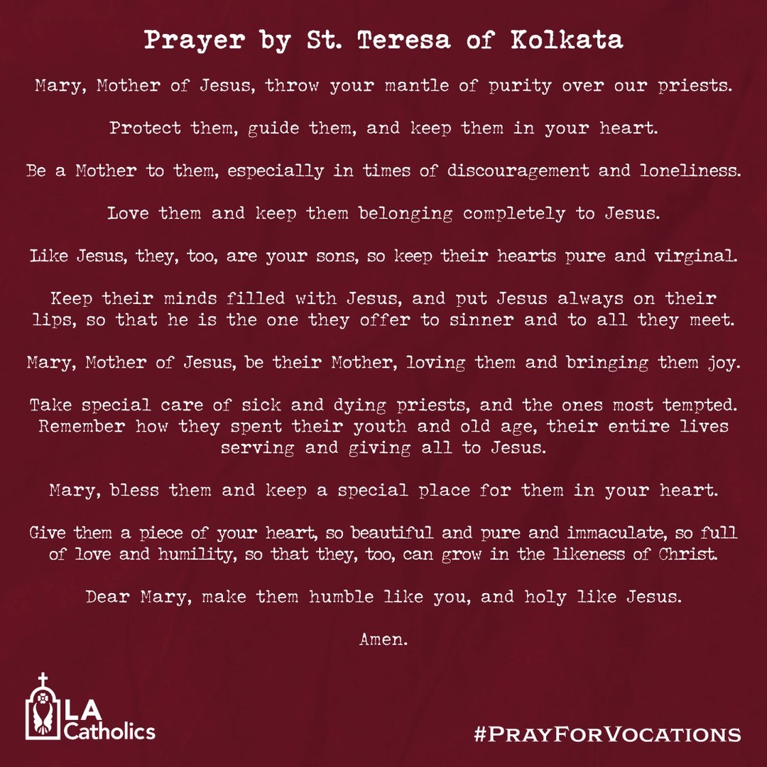 lacatholics's tweet photo. We pray for our Mother Mary to bless our #LAPriests and all those who are discerning vocations in their life. #Pray4Vocations https://t.co/fugsmQPh0c