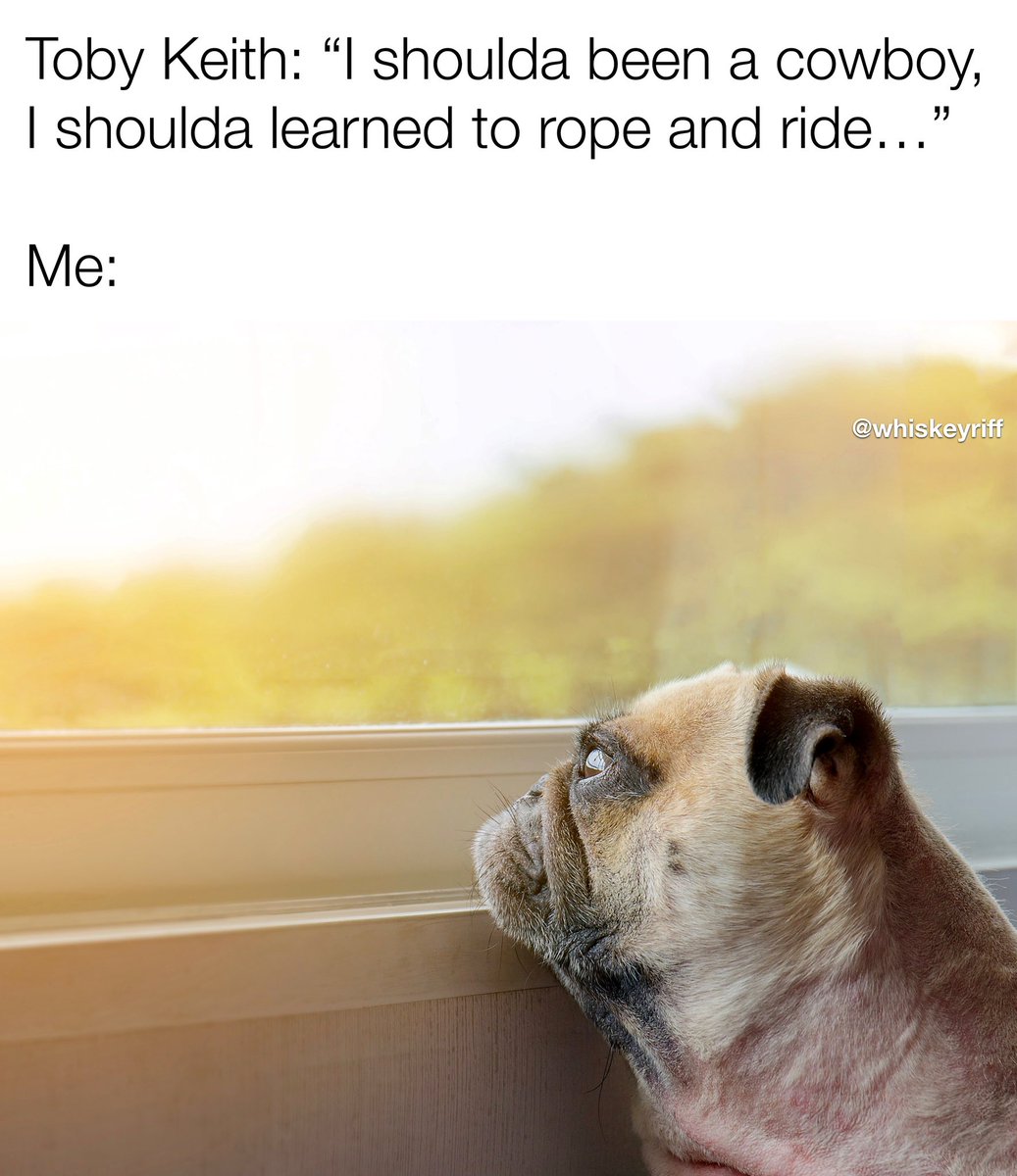 WhiskeyRiff's tweet photo. Well, shit. https://t.co/O0Jx6PsFtL