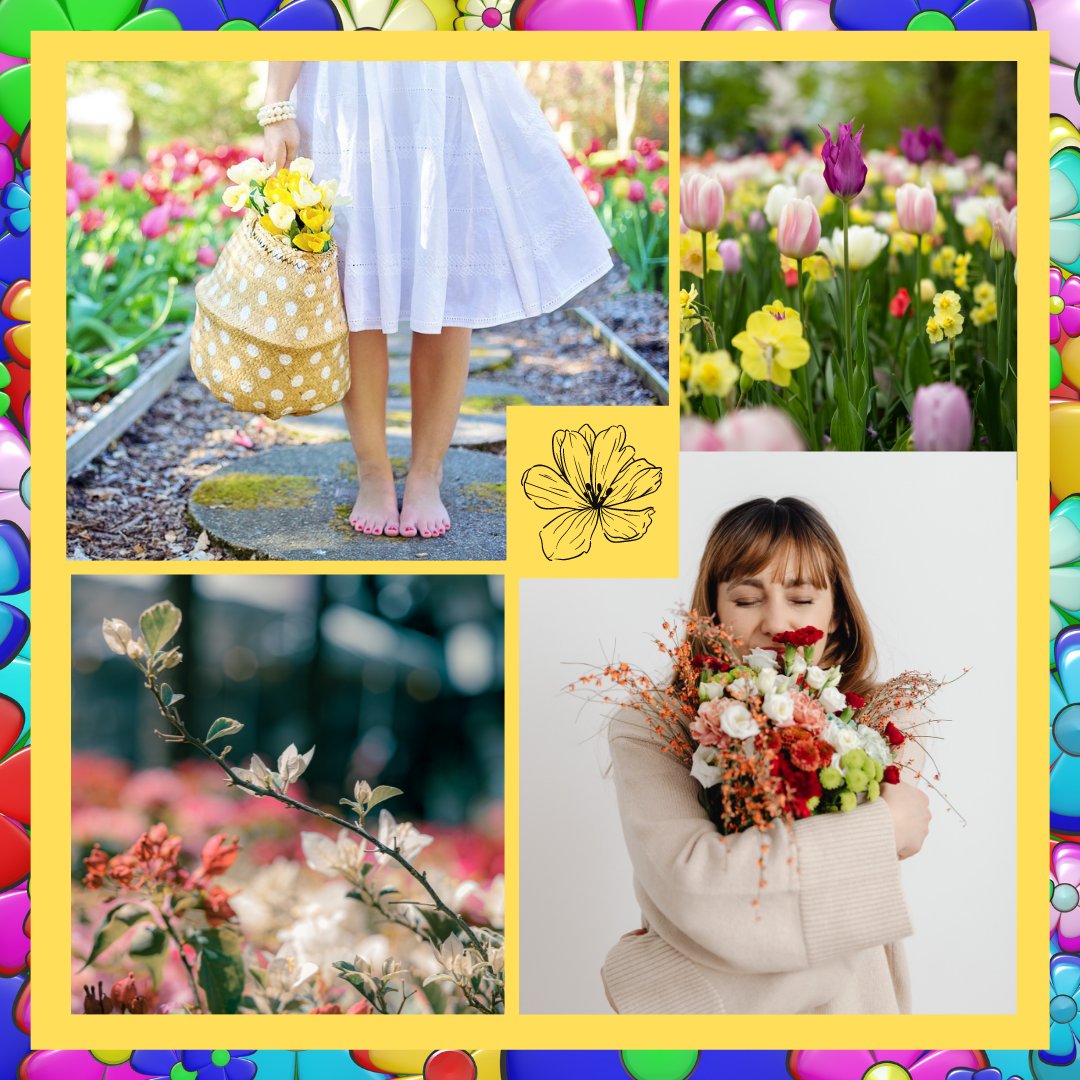 Iojeni_P's tweet photo. #CanvaDesignChallenge
#Flowers https://t.co/tmihEBiE7Y