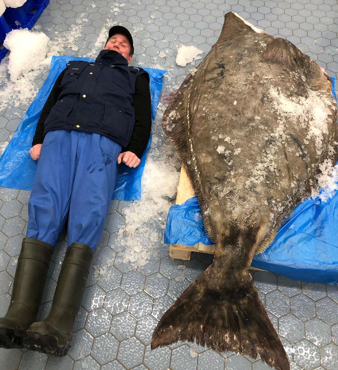 Marco Asbreuk tweet media