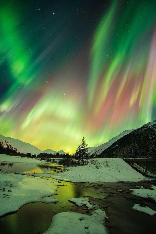 Have a goodnight !
#night #auroraboralis