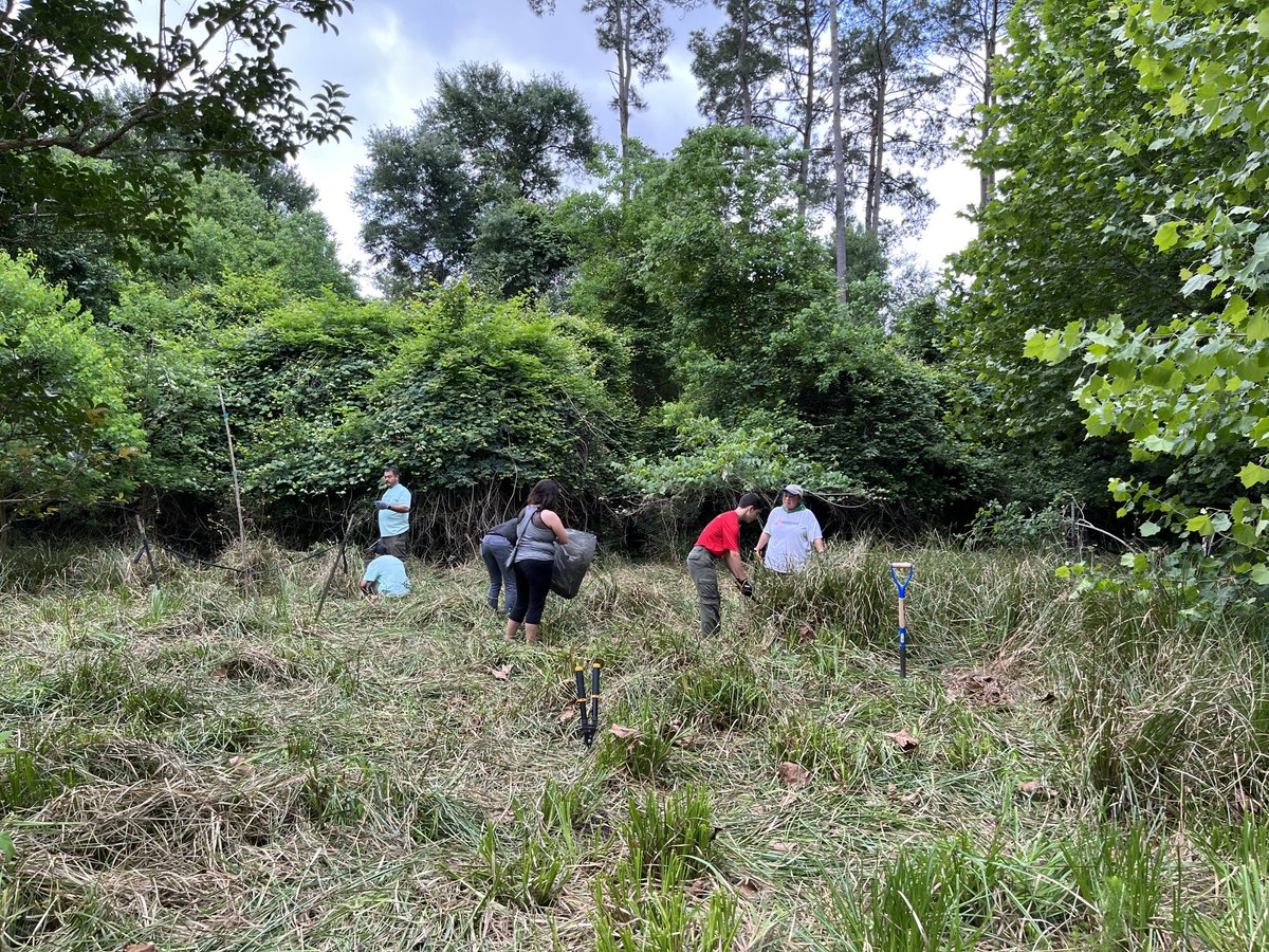 FlanaganPam's tweet image. Thanks to Red Wolf Scout district for working on our Nature Trails Meadow project this morning ⁦@CFISDScience⁩