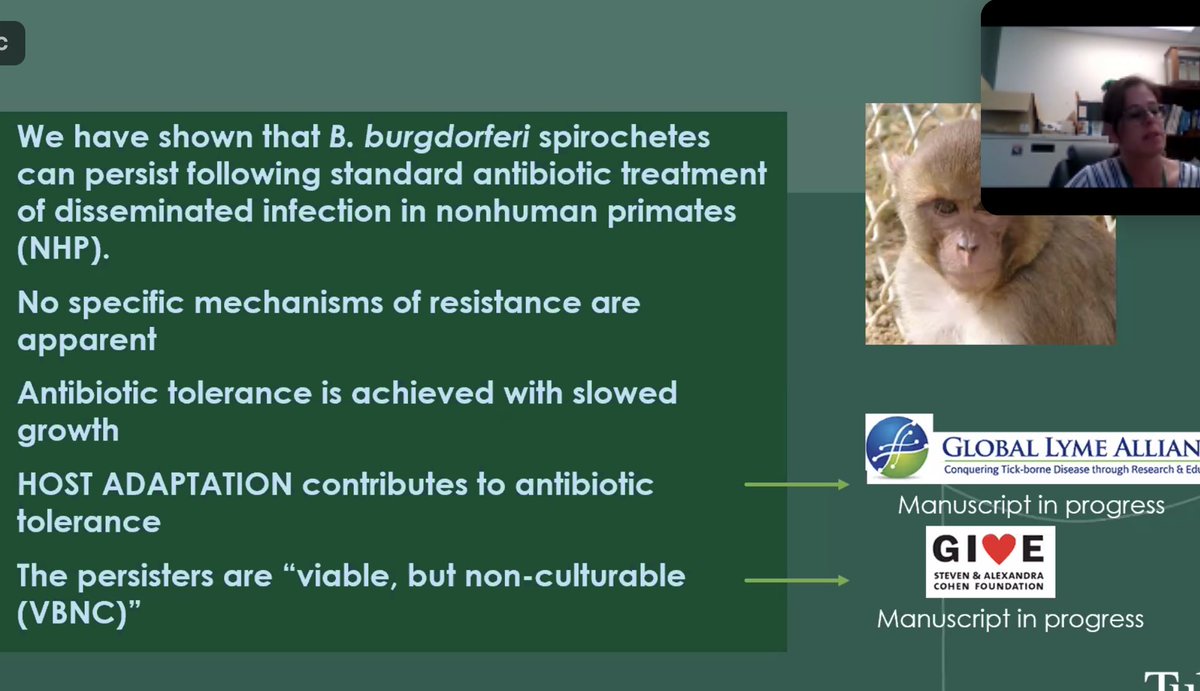 Thanks Monica Embers for all your tireless work reveal new information about persistent #lyme disease. ⁦<a href="/liv_lyme/">LivLymeFoundation</a>⁩ ⁦<a href="/BayAreaLyme/">Bay Area Lyme Foundation</a>⁩ ⁦<a href="/Lymenews/">LymeDisease.org</a>⁩ ⁦<a href="/Tulane/">Tulane University</a>⁩ ⁦<a href="/HolidayGoodreau/">Holiday Goodreau</a>⁩ ⁦<a href="/LymeAlliance/">Global Lyme Alliance</a>⁩ ⁦<a href="/TexasLyme/">Texas Lyme Alliance</a>⁩ ⁦<a href="/khoney/">Kristen Honey 🐝</a>⁩ ⁦<a href="/NIAIDNews/">NIAID News</a>⁩