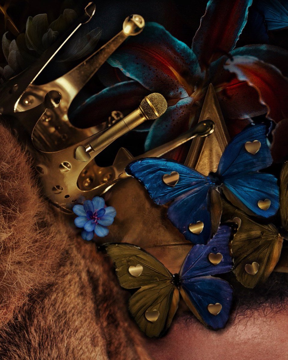 Marcel van Luit tweet media