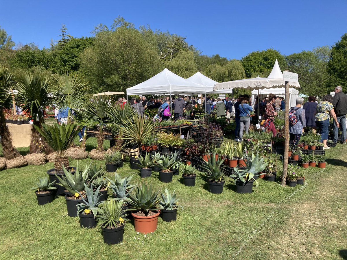 AvecMistler's tweet photo. Succès d’affluence pour la 9e édition de « Presqu’île en fleurs », le rendez-vous botanique du Cotentin, dans le parc du Château des Ravalet ! https://t.co/Qvgzw2SYSO