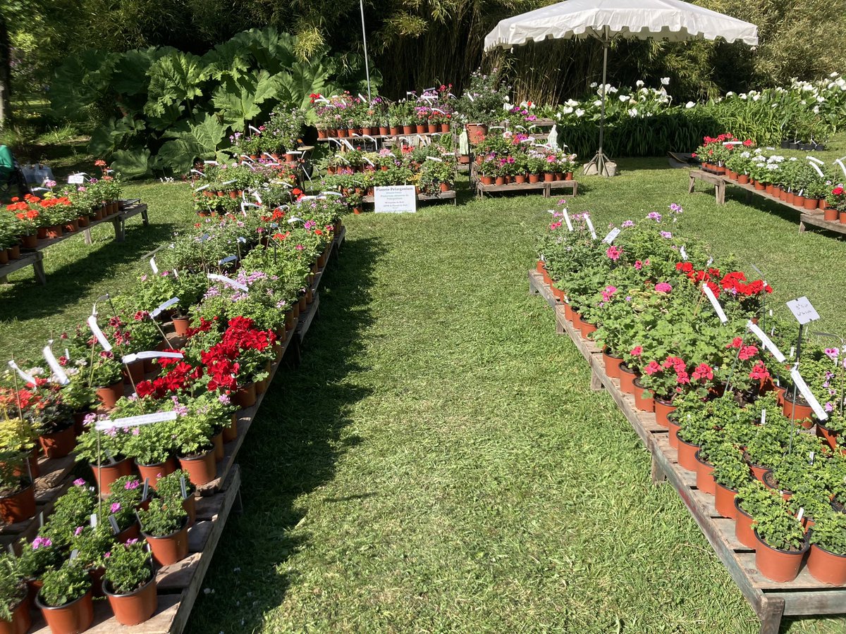 AvecMistler's tweet photo. Succès d’affluence pour la 9e édition de « Presqu’île en fleurs », le rendez-vous botanique du Cotentin, dans le parc du Château des Ravalet ! https://t.co/Qvgzw2SYSO