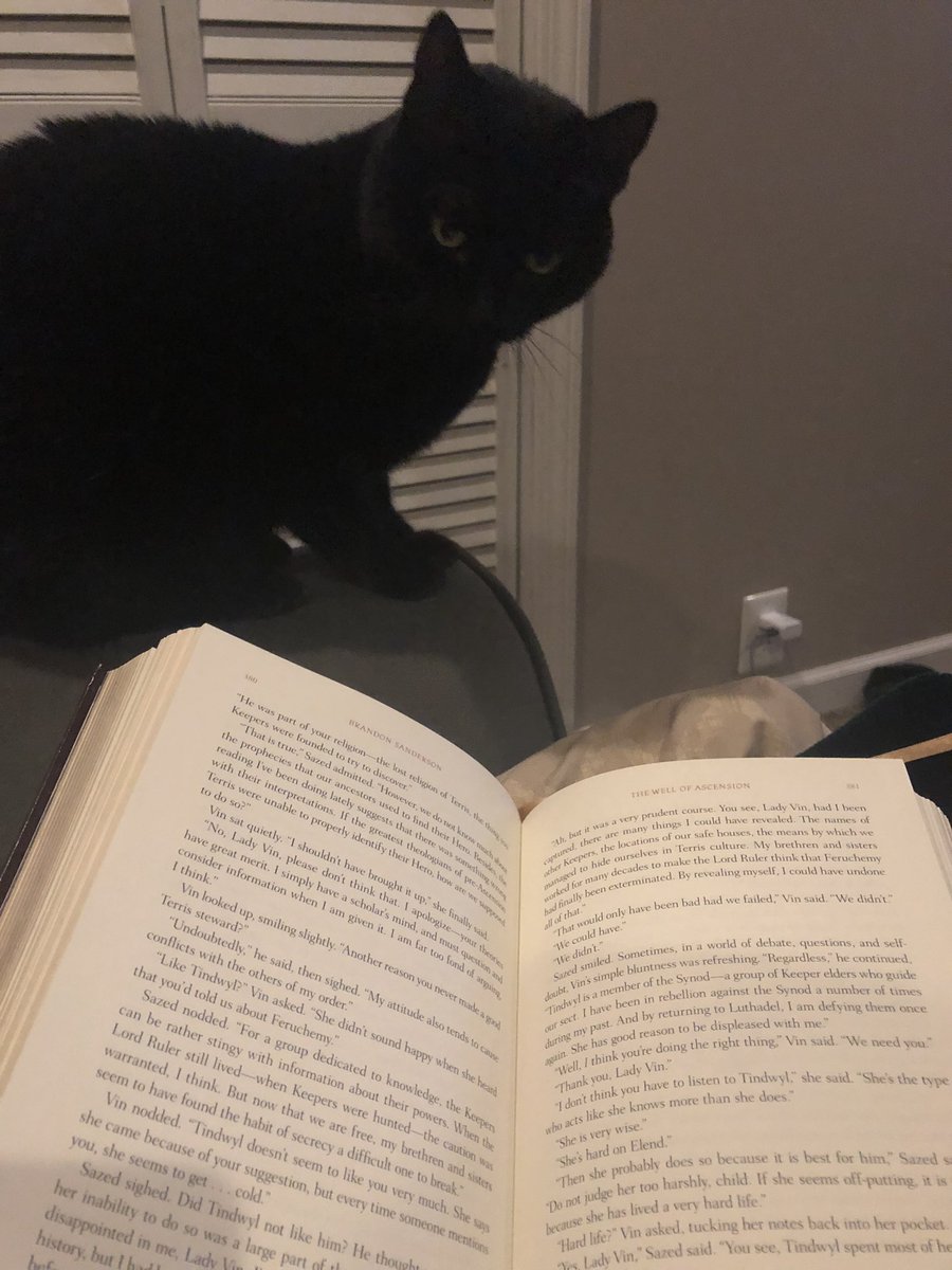 Saleriel_A's tweet photo. How cute! Kitten loves reading with me. https://t.co/XIEvkamg8f