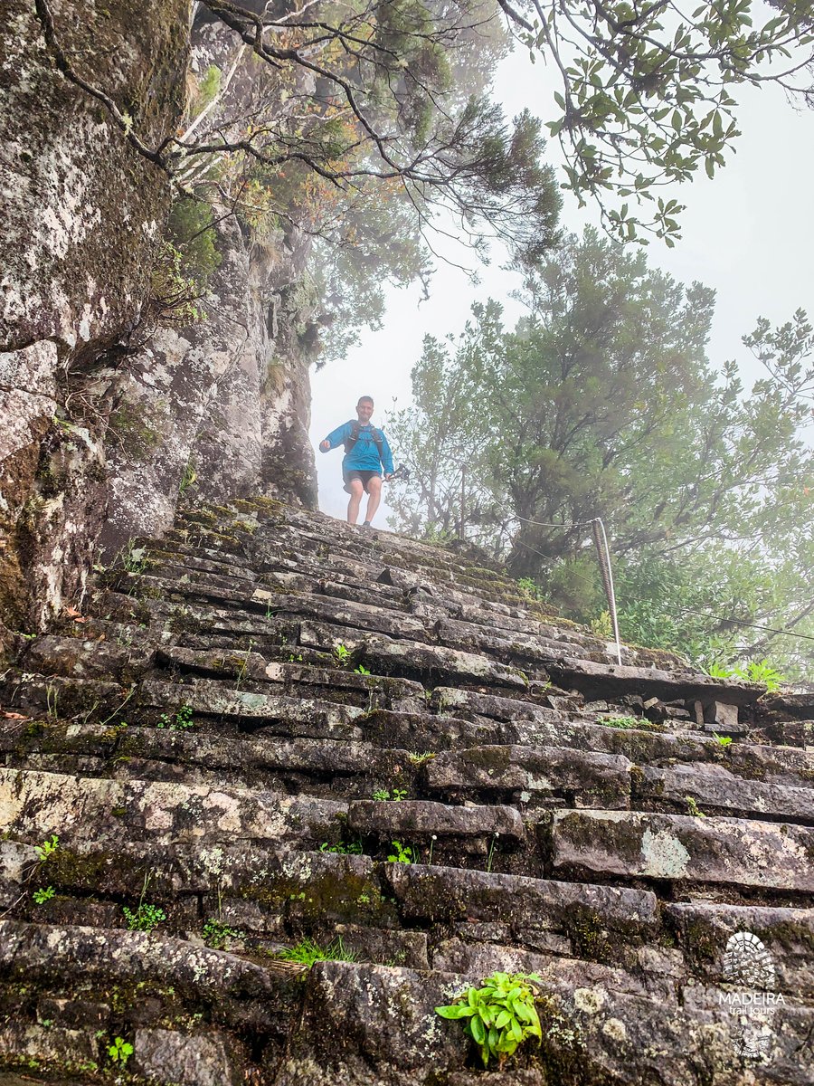 MadeiraTrail's tweet photo. An Irishman🇮🇪 in Madeira! 🤙
Shane is a summits man, so we took him on the central massif to climb to the top of Pico Grande (1.654m) 🧗‍♂️ ⛰
It was a tough and technical run of 19km but totally worth it! 😍 🌸 🏃‍♂️💪

Book your Running Tour at https://t.co/TCUShmGRQG⬅️
#trailrunning https://t.co/8nsA9h97tU