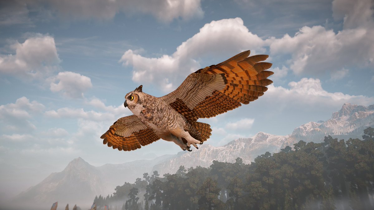 lostinavision's tweet image. #PS4share