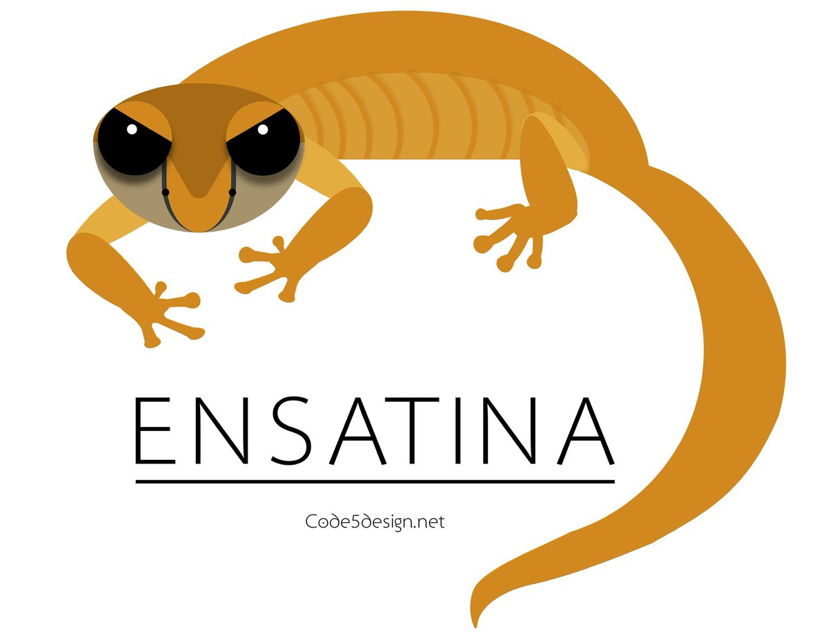 Code5Design's tweet photo. Celebrate #AmphibianWeek ! https://t.co/1tHehw3T6X