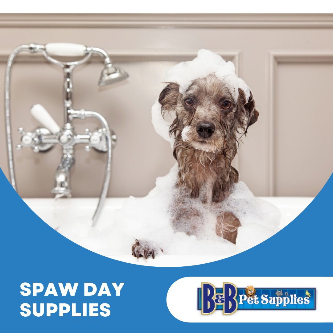 Make sure their coats are clean &amp; shiny and their smiles are fresh &amp; sparkly so they are tip top and ready for  summer!

Visit our website to see all the products we have in stock.
bbpetsupplies.ca

Order &amp; pay online
#bandbpetsupplies #mitchellontario #groomingsupplies