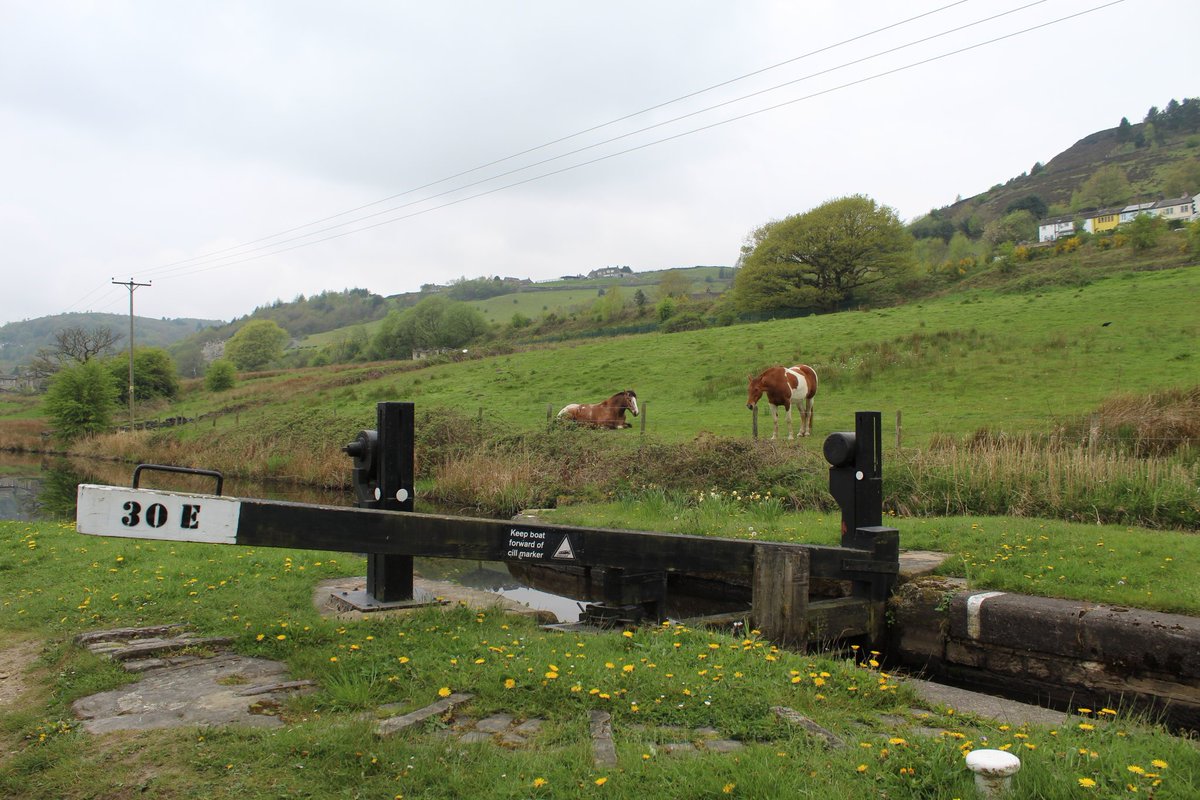 BridgesCanal's tweet photo. Booths Bank Bridge No 51 .. Booths Bridge No 52 .. Huddersfield Narrow Canal .. West Slaithwaite .. @CRTYorkshireNE @ThePhotoHour #Sparth @CanalRiverTrust #Huddersfield #lifesbetterbywater https://t.co/EYZy7NMD1S