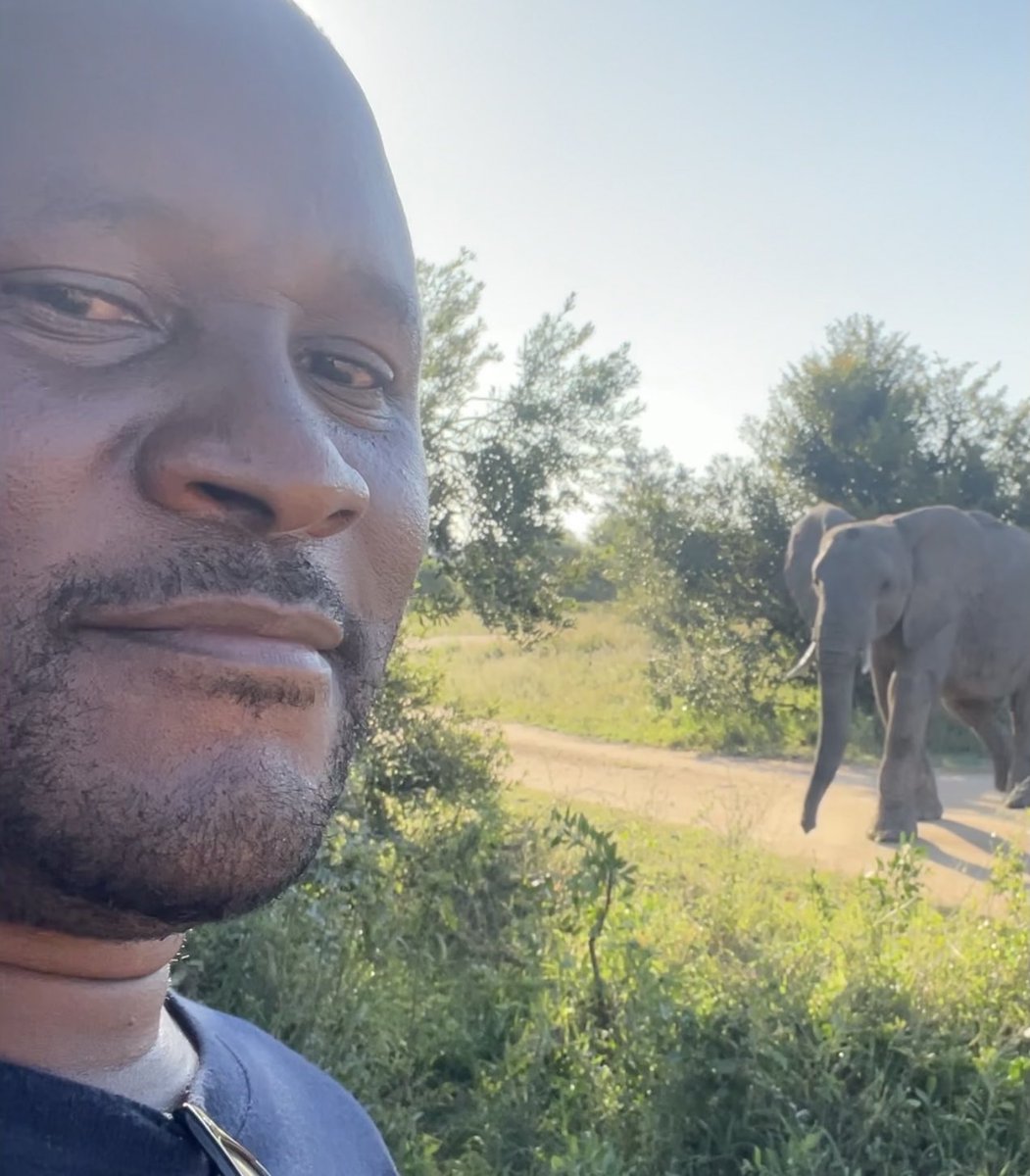 EdwardthembaSa's tweet photo. Bush Walk was great.Goodnight bahlali.👊🏾 https://t.co/w7VKDYqPSi