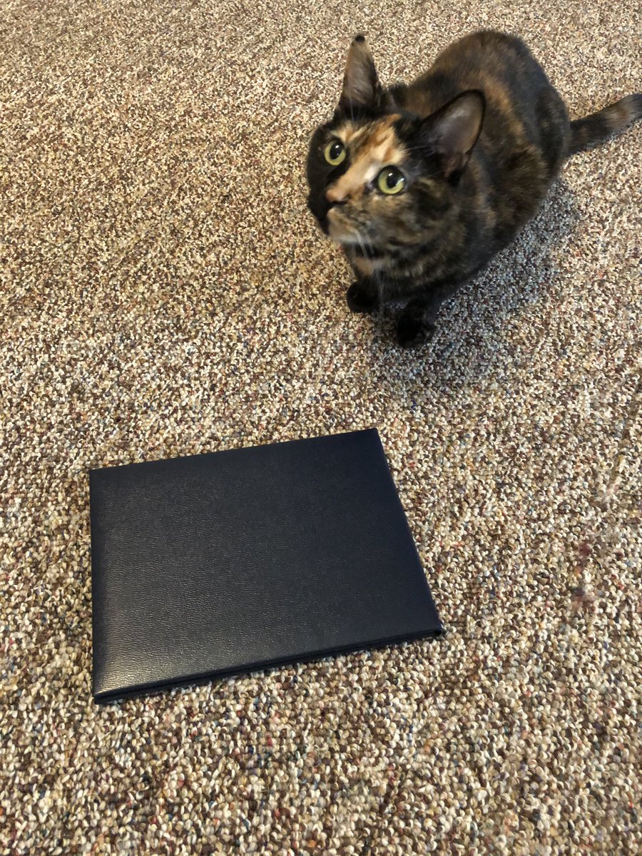 LMULibraries's tweet photo. "Congratulations to all of the graduates! I can tell that your futures will be bright!" #CVLLibrary #LMU #Caturday https://t.co/v1uJVjIjO7