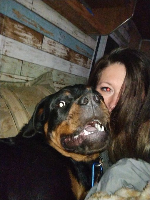 Princess Chevy turned 8 months old ;) https://t.co/2CPUXw5eHt<a href="/tag/onlyfans"class="tags"><span>#onlyfans</span></a>