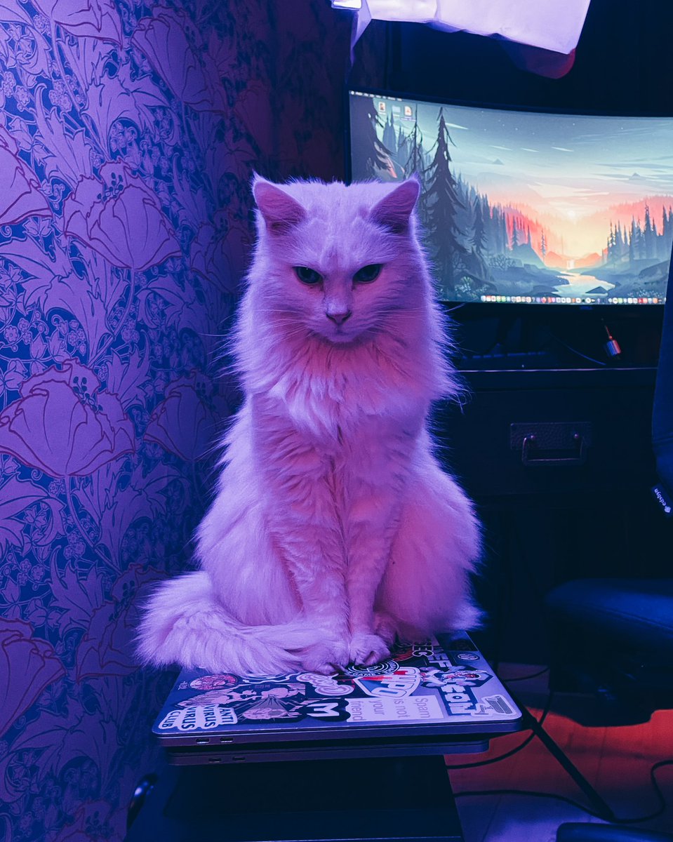 STÖK ✌️ tweet media