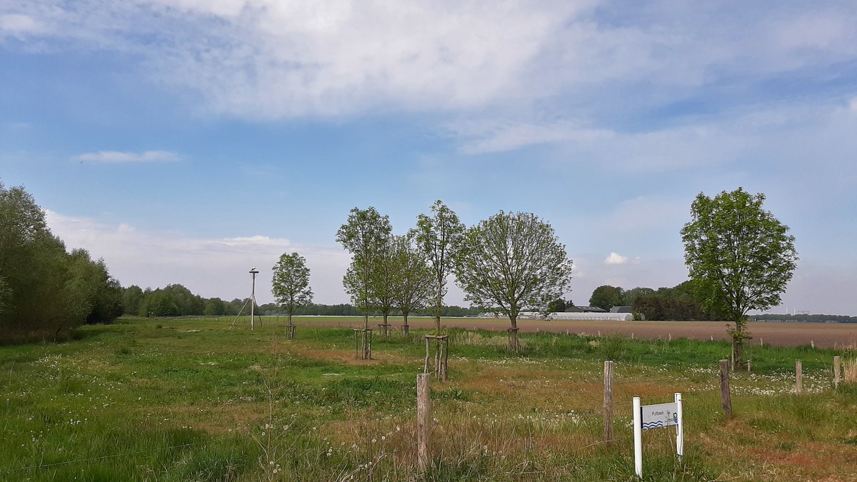 inja5248's tweet photo. vanmorgen weer 'n stukje verder op de 🚴‍♀️
naar de #Pepinusbeek om de #ooievaars te zien 
mooie natuur in 't @SmalsteStukje 🇳🇱 

@WLomgeving waarom zijn de rietkragen verwijderd, ik mis nu zoveel vogelsoorten en libellen...zonde! https://t.co/VlnM53IeXS