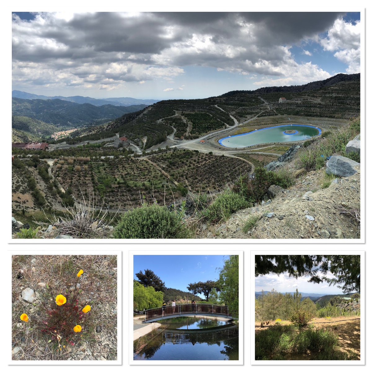 Royal Commonwealth Society tweet media