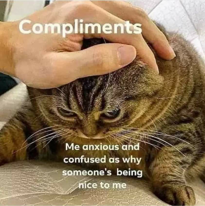 WholesomeMeme's tweet photo. https://t.co/BMiIr4CKMQ