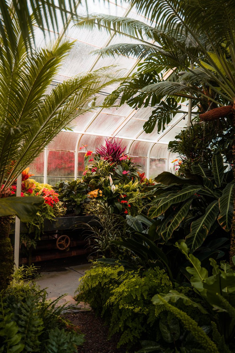 addy_alaska's tweet photo. the conservatory. 

seattle, washington USA https://t.co/rkt7uGLfhu