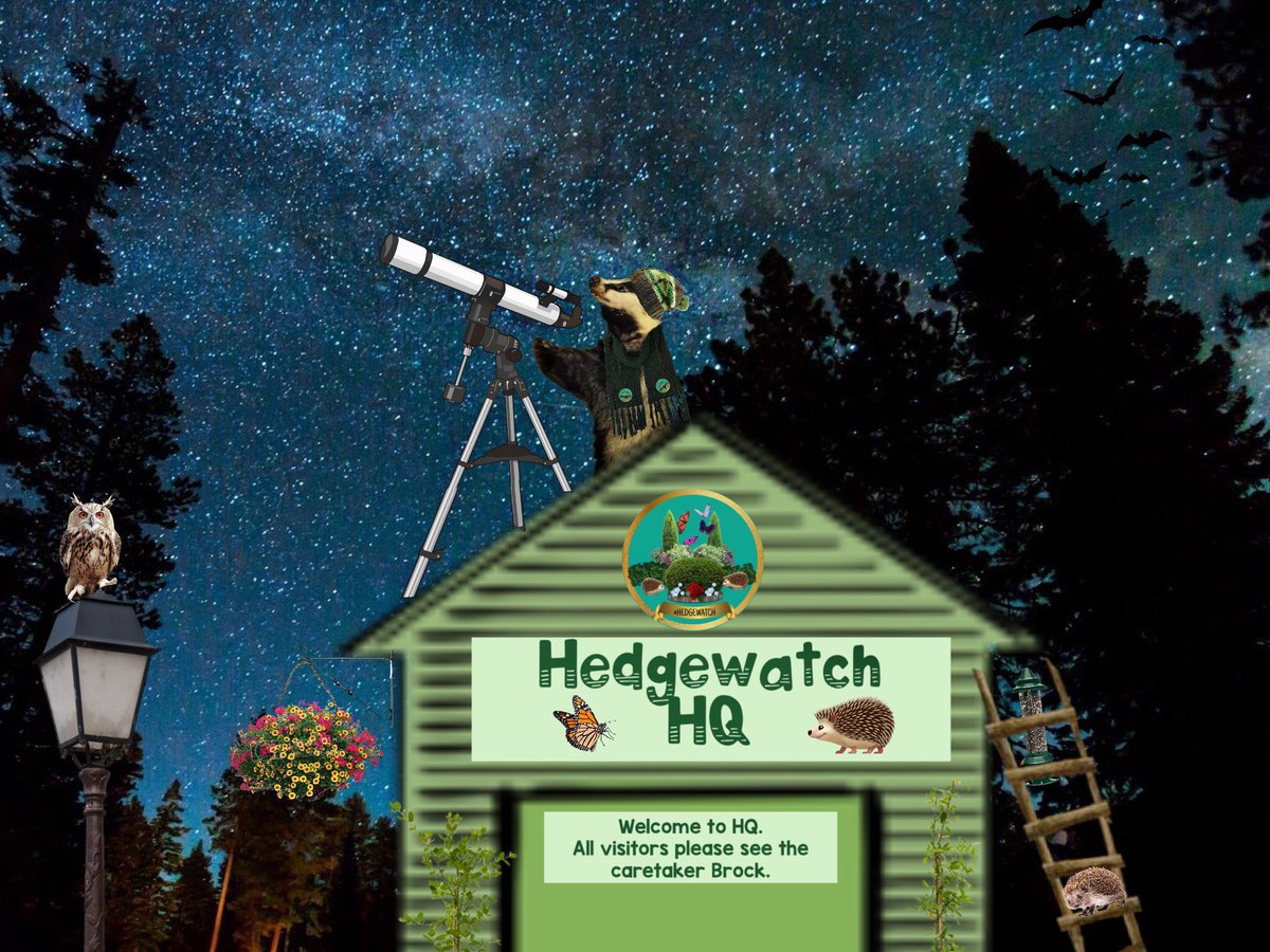 #Hedgewatch’ers!! Today is #WorldAstronomyDay 😺🌟

Brock has gone where no badger 🦡 has gone before (onto the HQ roof) in honour of this special day! 

He'll be doing some star gazing tonight....if you have a clear sky, you could try gazing or maybe swinging on a star too! 🌌