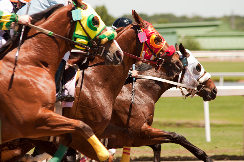 WashlinkSystems's tweet photo. Win, place and show with @WashlinkSystems. We're always your Triple Crown winner. 

#kentuckyderby 
#kentuckyderby2022 https://t.co/WrXCUZBai1
