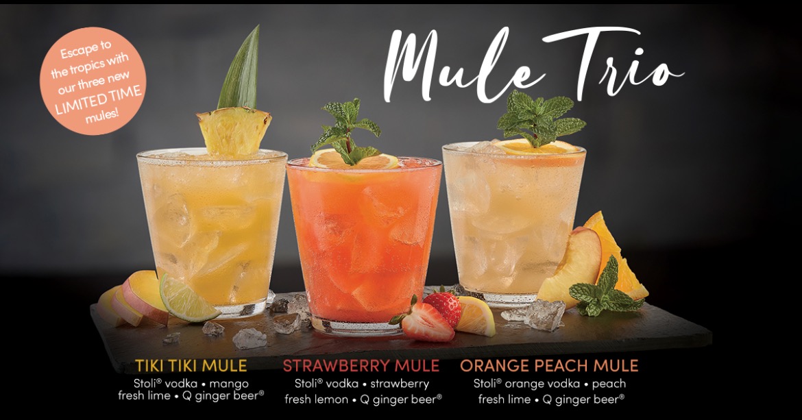 CounterNorCal's tweet photo. Happy Saturday! Try out our NEW Mule Trio's- Tiki Tiki, Strawberry, and Orange Peach. Your tastebuds will be wanting to escape to the tropics 🍹 https://t.co/kom1s9MZdw